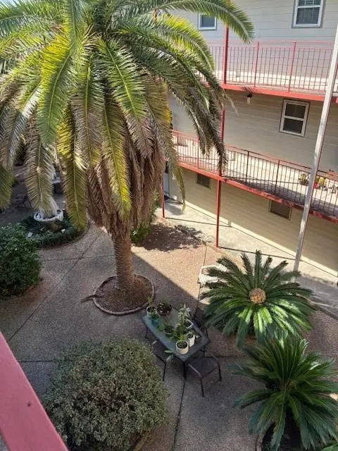 2500 Houma Boulevard #303, Metairie, LA 70001 - Image #3