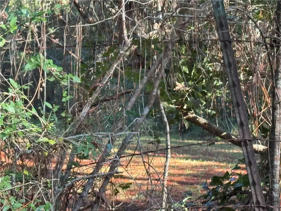 25397 Taylor Creek Road, Amite, LA 70422 - #3