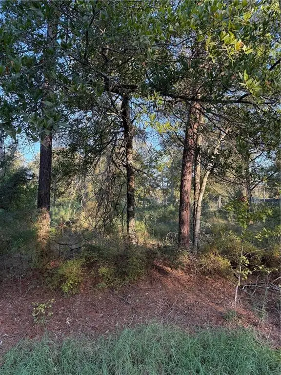 TBD Hwy 442 And Hwy 1065, Tickfaw, LA 70466 - #3