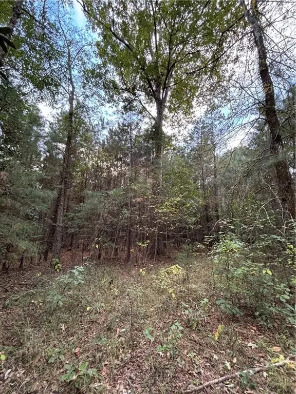 350 Walker Gravel Pit Road, Dry Prong, LA 71423