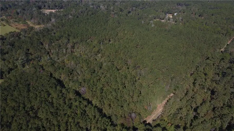 12 Acres Bruhl Road, Folsom, LA 70437 - Image #2