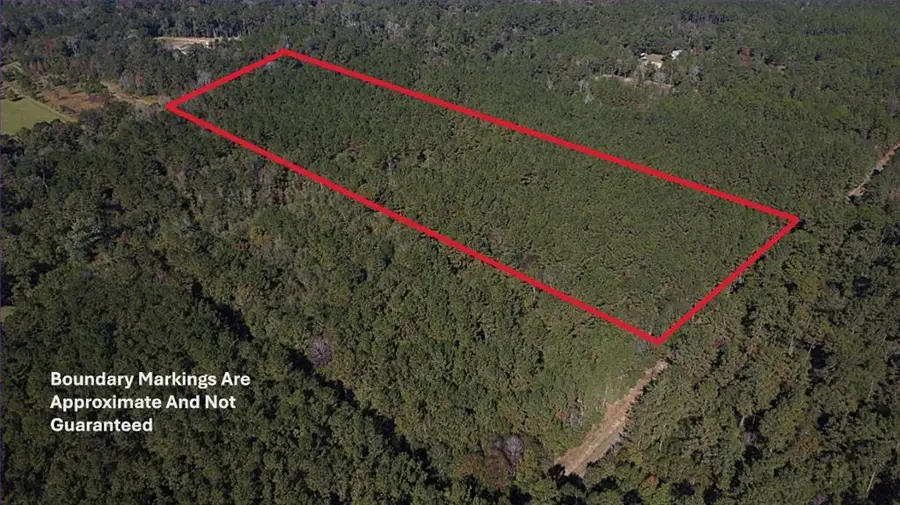 12 Acres Bruhl Road, Folsom, LA 70437 - Image #3