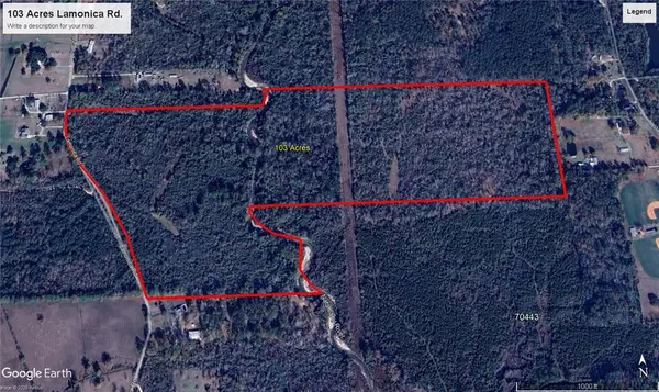 Lamonica Road, Independence, LA 70443