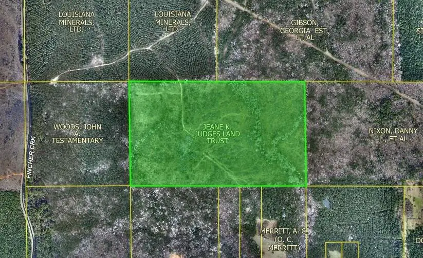 TBD 69.17 Acres Fincher Creek Road, Homer, LA 71040 - Image #1