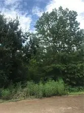 729 Woodridge Boulevard, Mandeville, LA 70471