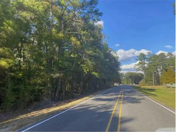 24075 Blood River Road, Springfield, LA 70462