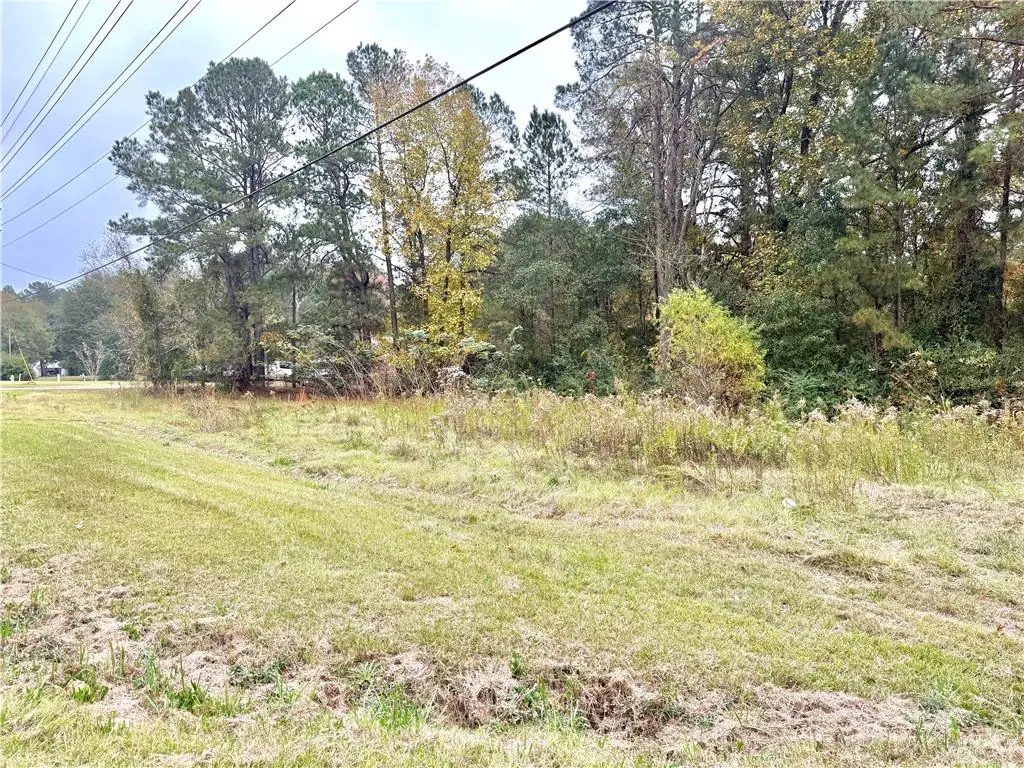 0 Hwy 28 E Road, Pineville, LA 71360 - #1