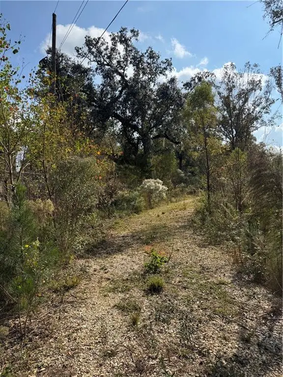 TBD Patterson Road, Springfield, LA 70462