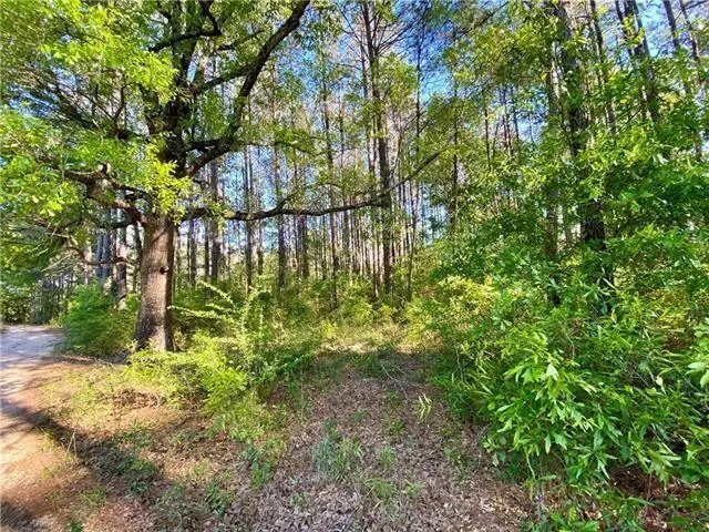 17197 &17203 Skeet Statham Road, Bogalusa, LA 70427 - Image #2