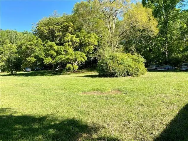 17197 &17203 Skeet Statham Road, Bogalusa, LA 70427 - Image #3