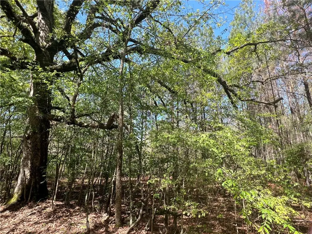 0 Nation Road, Deville, LA 71328 - Image #1