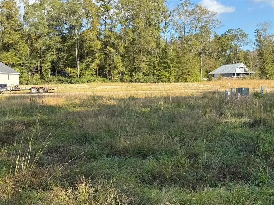 43439 Springwood Way, Hammond, LA 70401 - Image #3