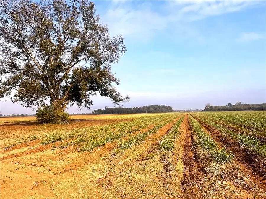 596 Crackville Road, Cottonport, LA 71327 - Image #3