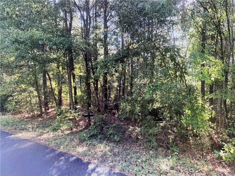 TBD Goldonna Road, Goldonna, LA 71031 - #2