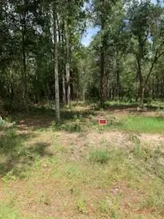 Cypress Street, Lacombe, LA 70445 - Image #3