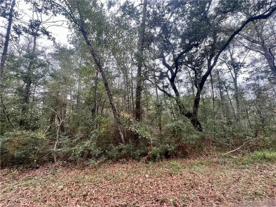 Lot 339A N Oaklawn Drive, Lacombe, LA 70445 - Image #2