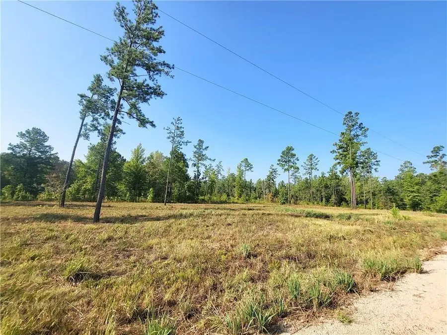 0 Hwy 117 Lot 7 Highway, Provencal, LA 71468 - Image #2