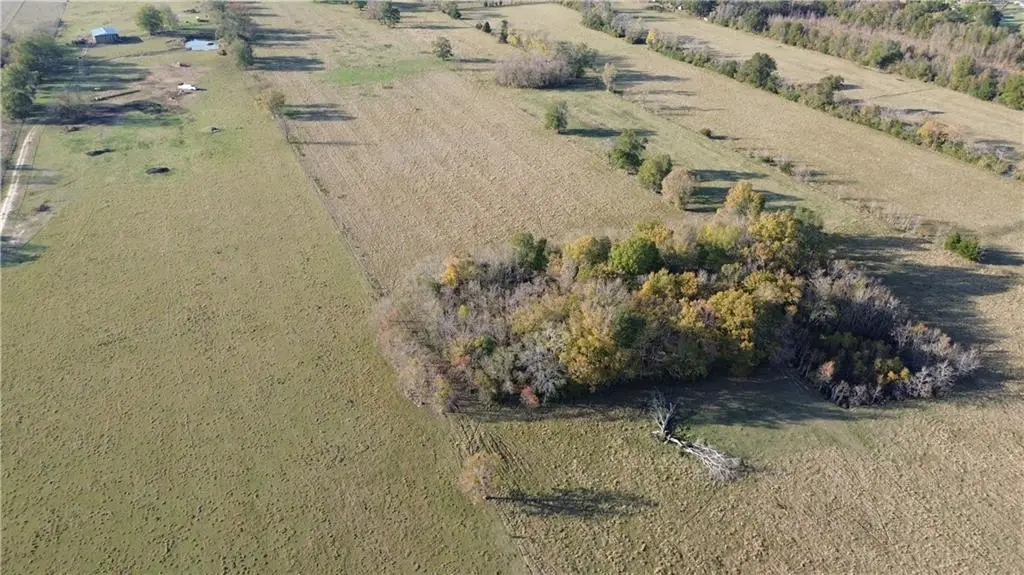 00 S Main Street, Marksville, LA 71351 - Image #1