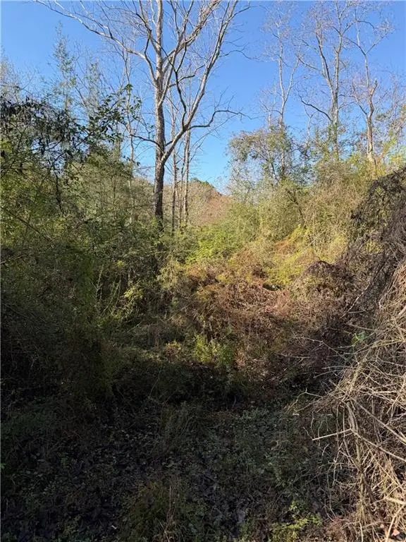 Honeysuckle Road, Bush, LA 70431 - Image #1