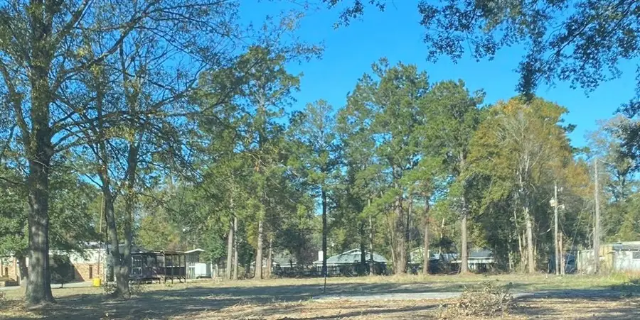 800 E Pine Street, Ponchatoula, LA 70454 - #3