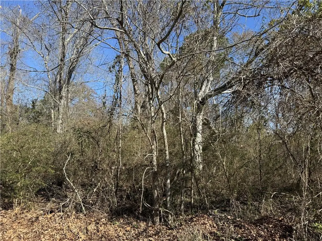 1251 Bayou Drive, Mandeville, LA 70448 - #1