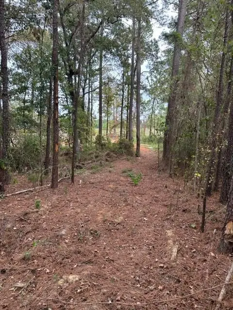 0 Williford Road, Pineville, LA 71360 - #2