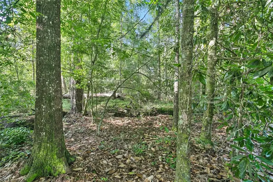 0 Philebar Road, Folsom, LA 70435 - #3