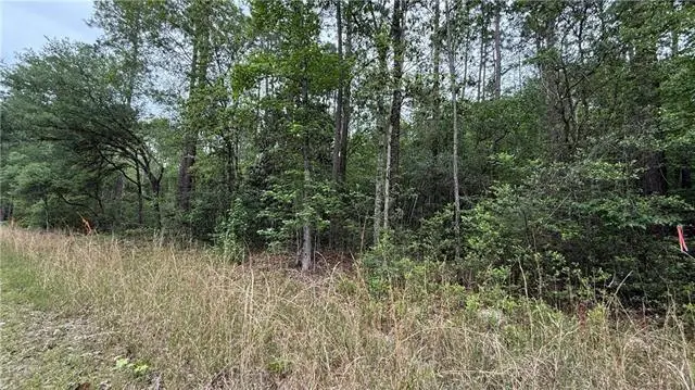 0 Burke Drive, Abita Springs, LA 70420 - #3