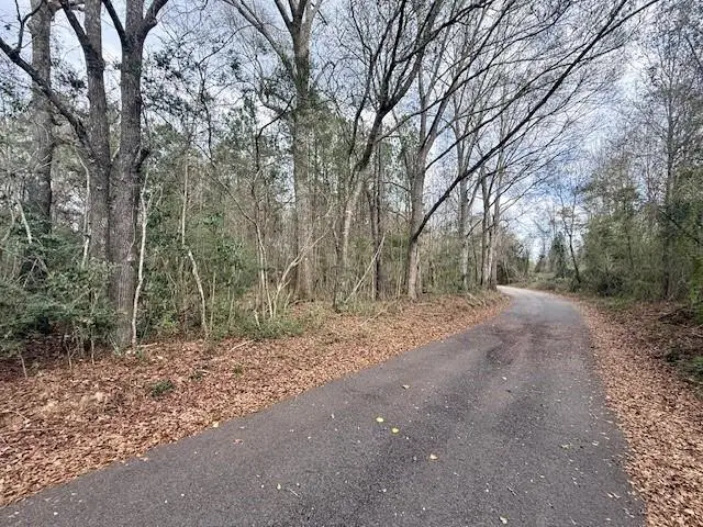 0 Burch Road, Mount Hermon, LA 70450 - #2