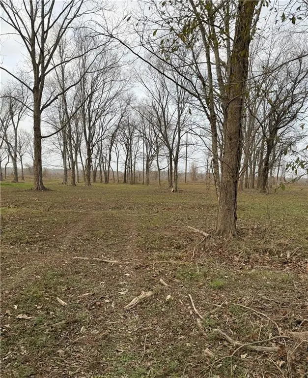 TBD Little River Road, Marksville, LA 71351 - #3