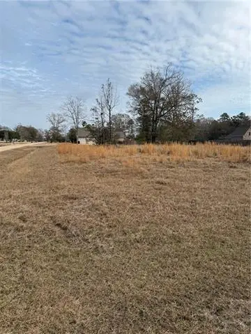 TBD Loranger Trace, Loranger, LA 70446 - Image #1