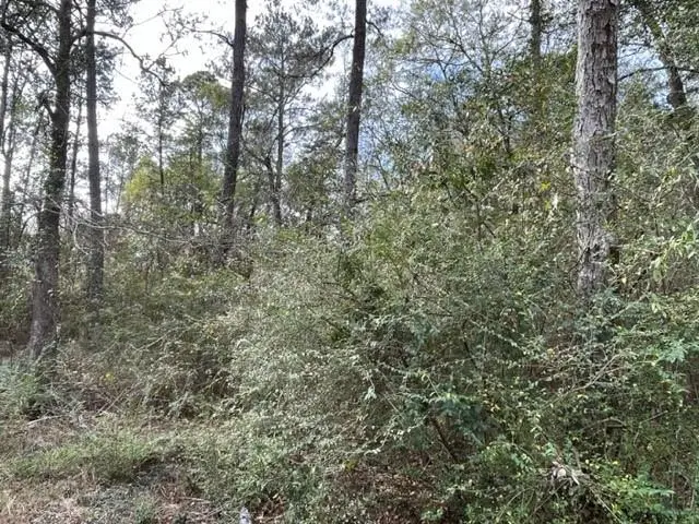 000 Monitor Drive, Slidell, LA 70460 - Image #1