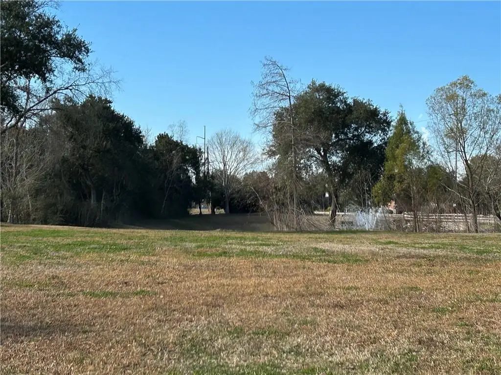 217 Cypress Crossing Drive, Belle Chasse, LA 70037 - #1