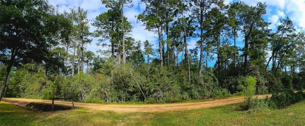 40253 Nicole Elizabeth Drive, Franklinton, LA 70438 - #1