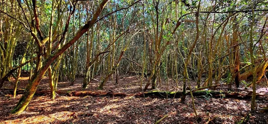 40253 Nicole Elizabeth Drive, Franklinton, LA 70438 - #3