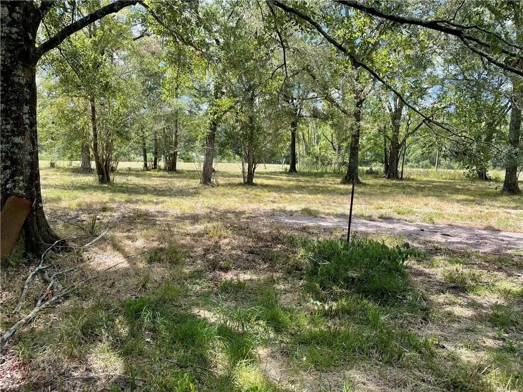 TBD Talmadge Crumholt Road, Central, LA 70818 - Image #1