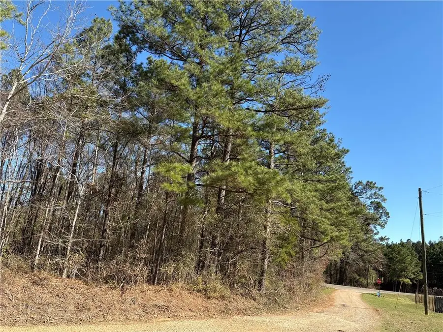 0 Effie Hwy Highway, Deville, LA 71328 - #3