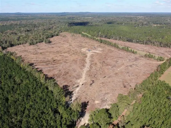 251 Domino Road, Bienville, LA 71008