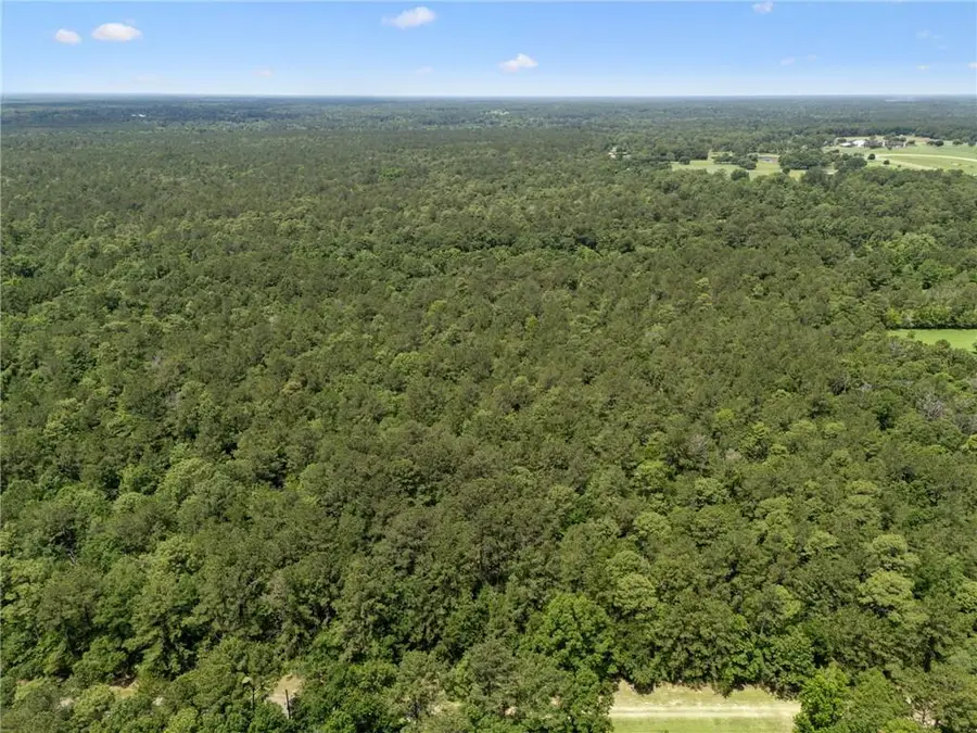 Parcel C (12.82 Acres) Dreamland Court, Folsom, LA 70437 - Image #3