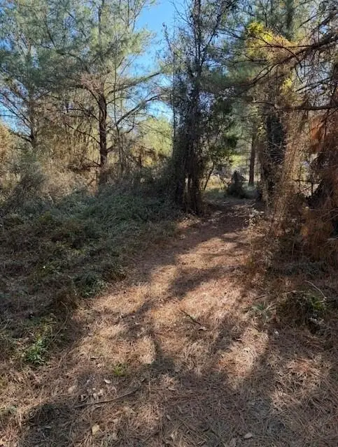 29 Jennie Lane, Picayune, MS 39466 - #2