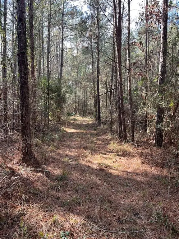 Hwy 441 Highway, Holden, LA 70744 - #3