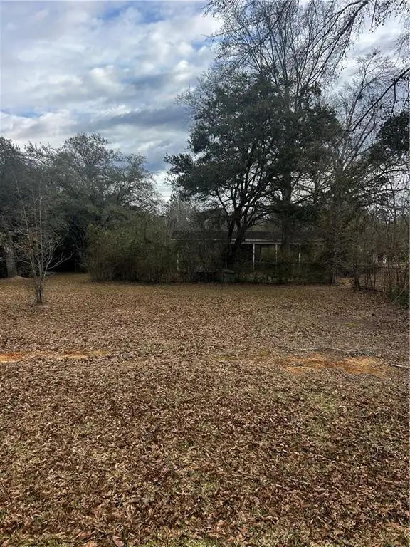 681 Highway 1199, Elmer, LA 71424 - #3