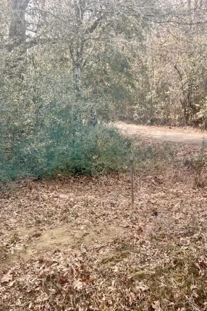 40 Acres Joiner-wymer Road, Covington, LA 70433 - Image #2