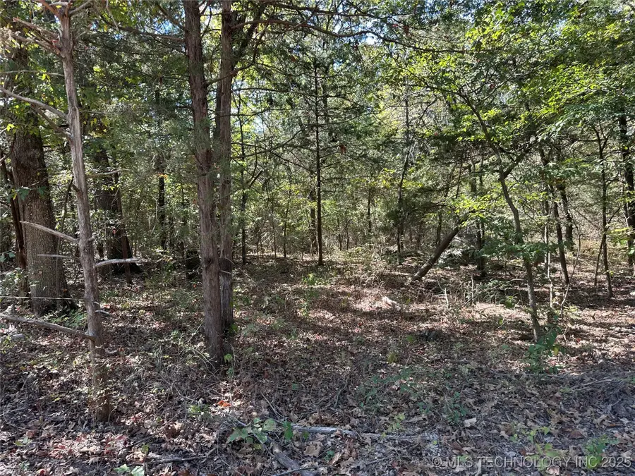 0 Cherokee, Jefferson, LA 74501 - #2