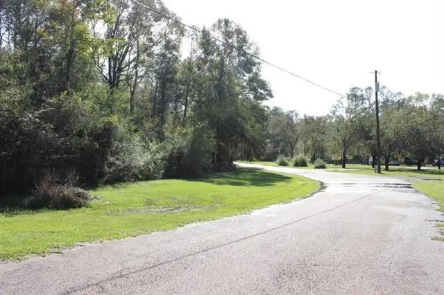 Happywoods Road, Springfield, LA 70462 - Image #2