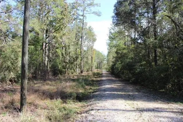 Happywoods Road, Springfield, LA 70462 - Image #3