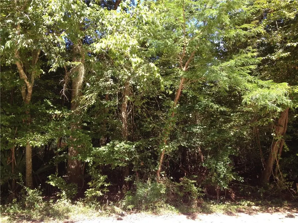 Hwy 1063, Tickfaw, LA 70466 - Image #1