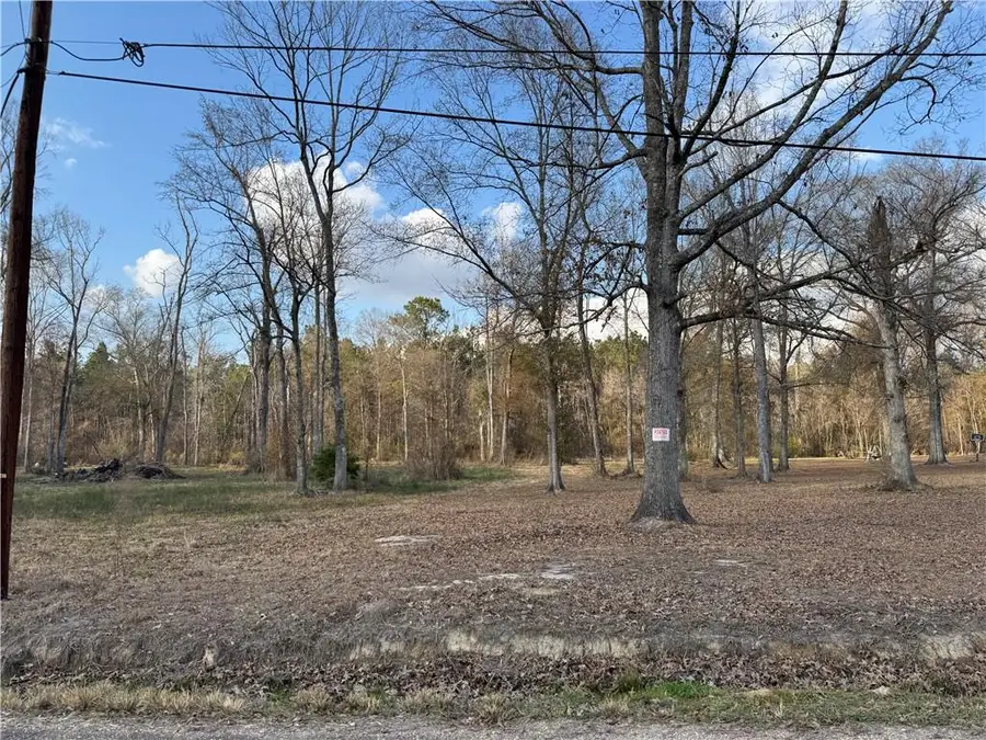 Tract 2-B E Shadow Lake Drive, Holden, LA 70744 - #3