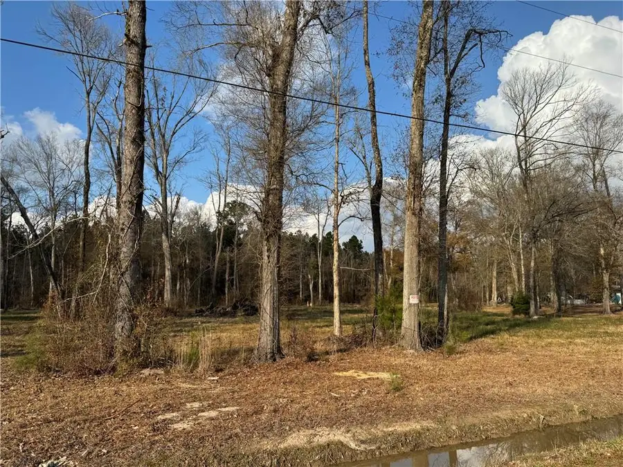 Tract 2-C E Shadow Lake Drive, Holden, LA 70744 - #2