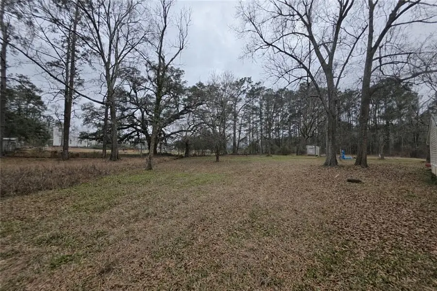 12462 Steptoe Road, Roseland, LA 70456 - #3